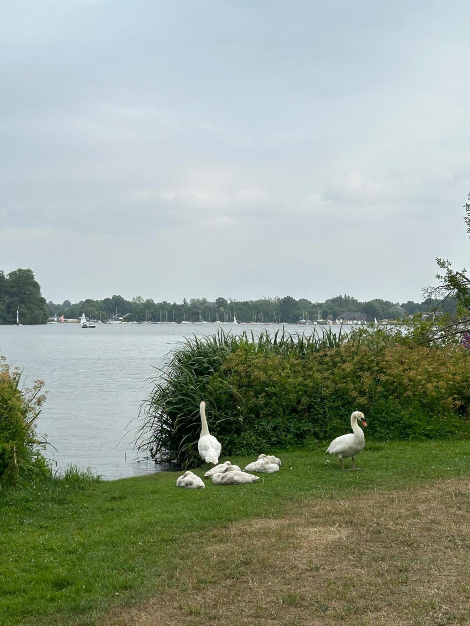 Logement Climatisé Erdre Rivière La Chapelle-Sur-Erdre Extérieur photo